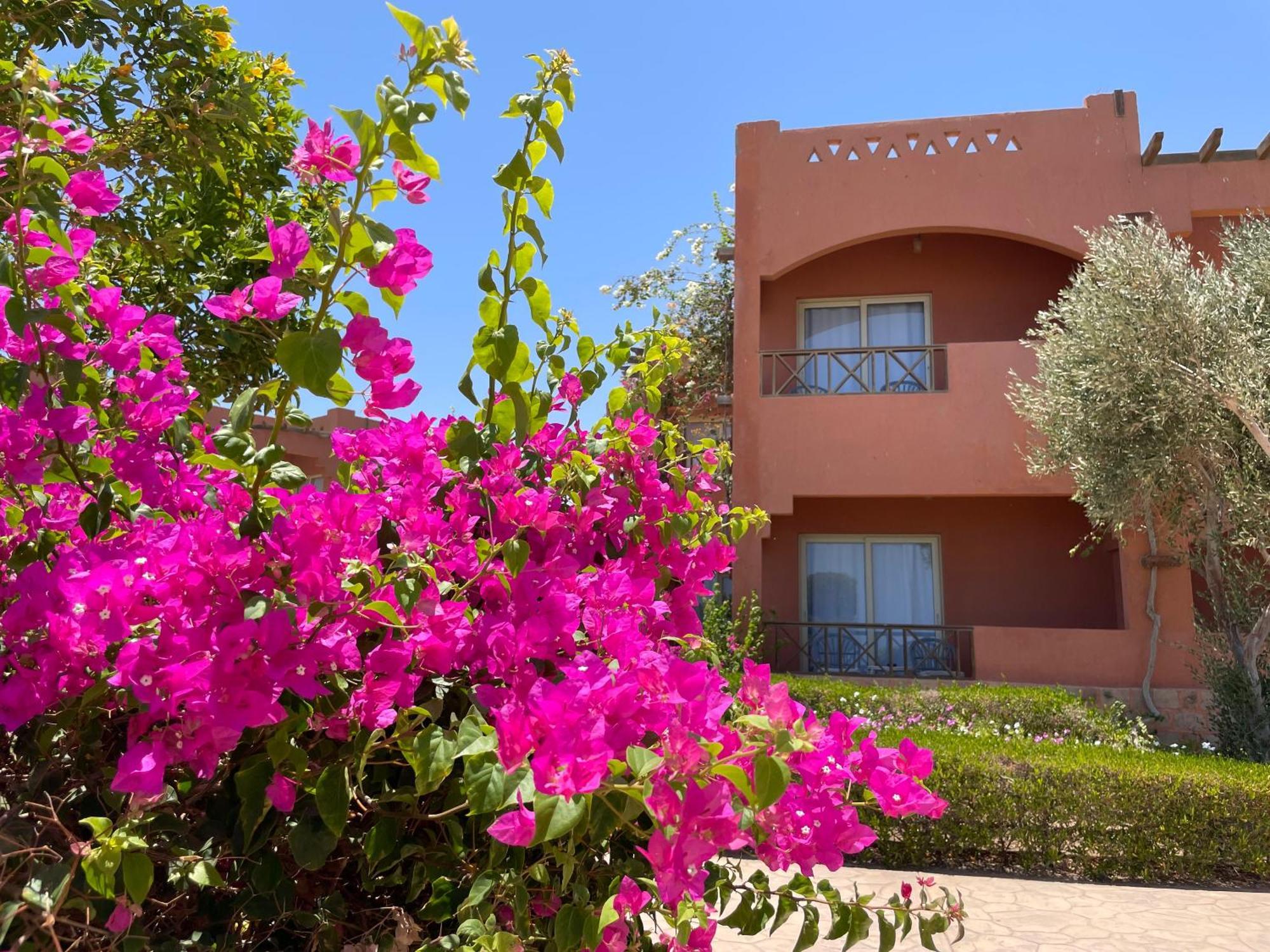 Soulotel Emerald Resort & Spa Marsa Alam Esterno foto